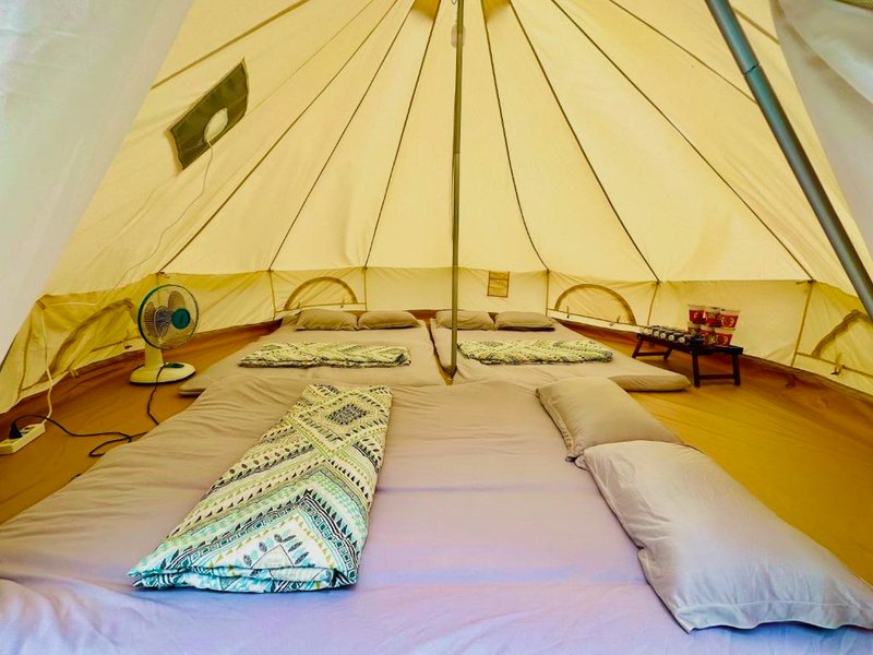SAY Camp Forestの写真
