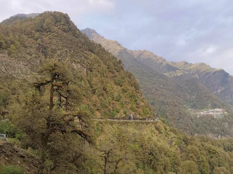 Amar Resort Chopta Tung Nathの写真