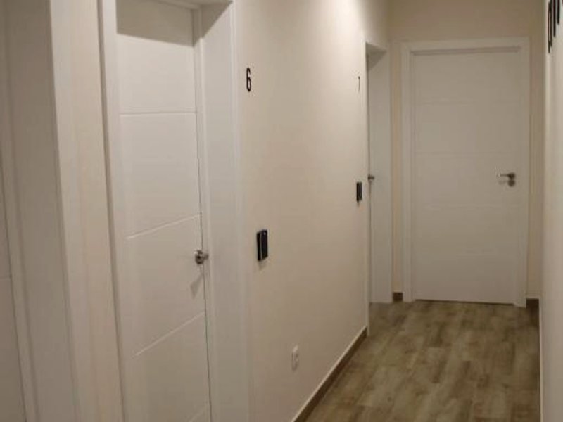 Baixo a Lua Roomingの写真