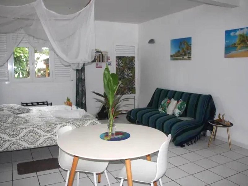 Studio confortable à La Trinité 30 m² avec vue mer et jardin (Studio confortable a La Trinite 30 m² avec vue mer et jardin)の写真