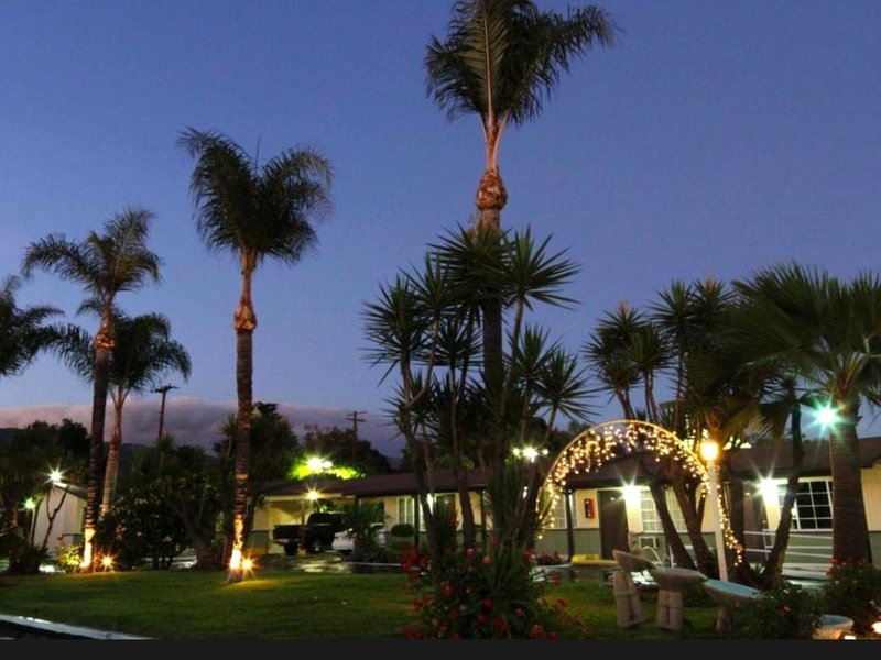 Palm Tropics Motelの写真