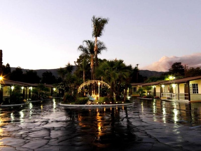 Palm Tropics Motelの写真