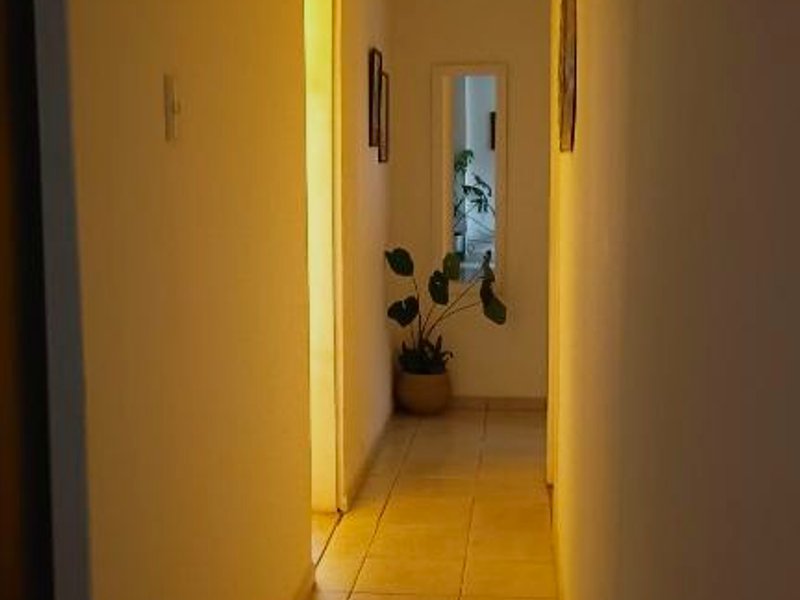 Oasis interiorの写真