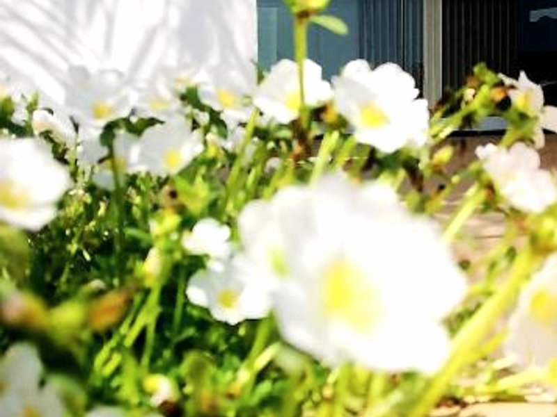 Hotel Soul de Javeaの写真