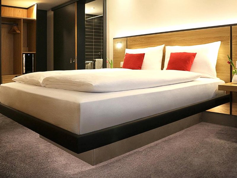 GINN シティ アンド ラウンジ ホテル レーヴェンスブルク (GINN City and Lounge Hotel Ravensburg)の写真