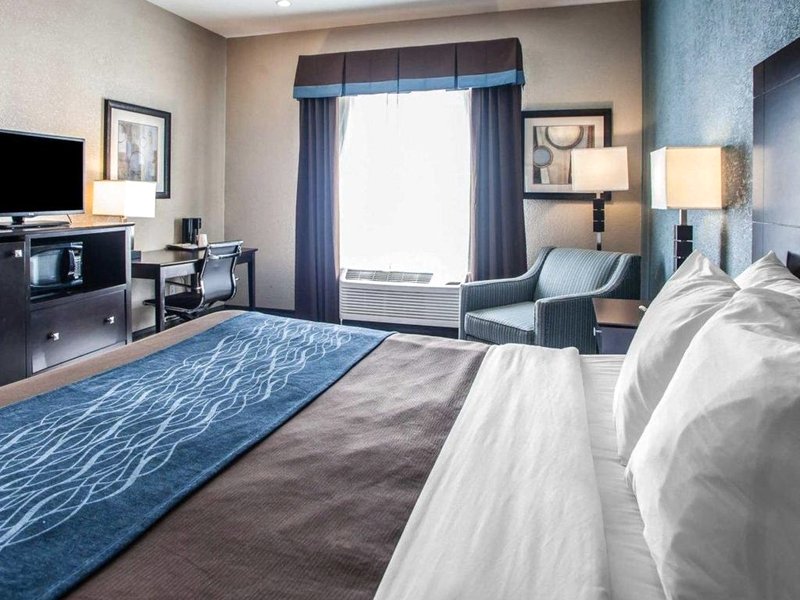 コンフォート イン リーズ サミット アット ハイウェイ 50 & ハイウェイ 291 (Comfort Inn Lees Summit @ Hwy 50 & Hwy 291)の写真