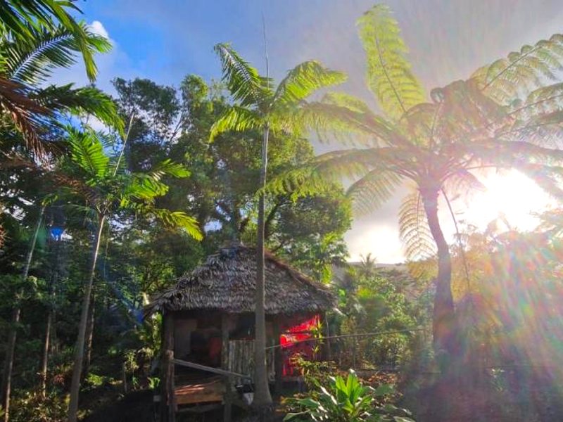 Tanna Lava View Bungalowsの写真