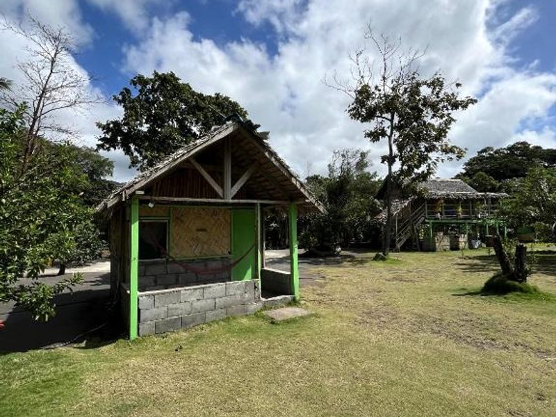 Tanna Volcano View Tree Houseの写真
