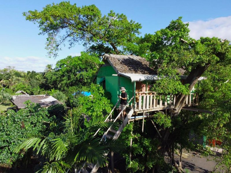 Tanna Volcano View Tree Houseの写真