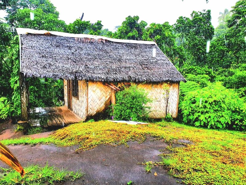 island paradise bungalowsの写真
