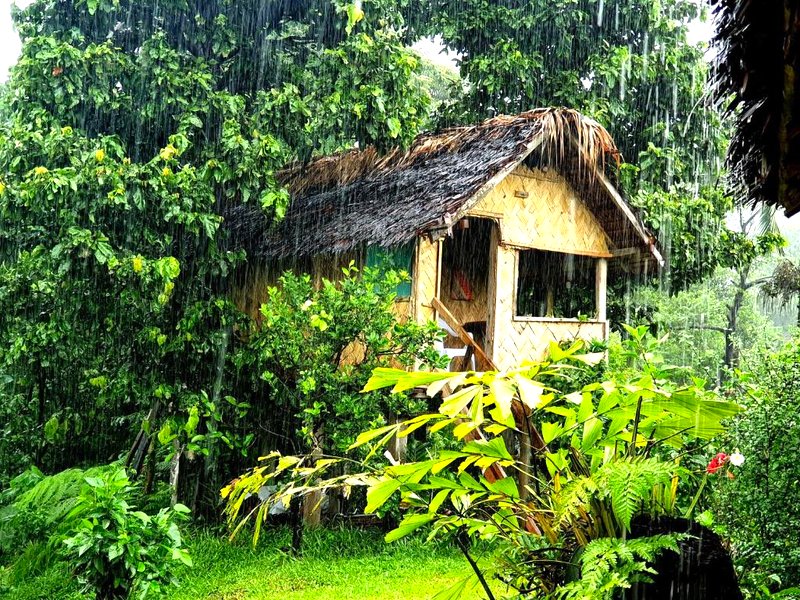 island paradise bungalowsの写真