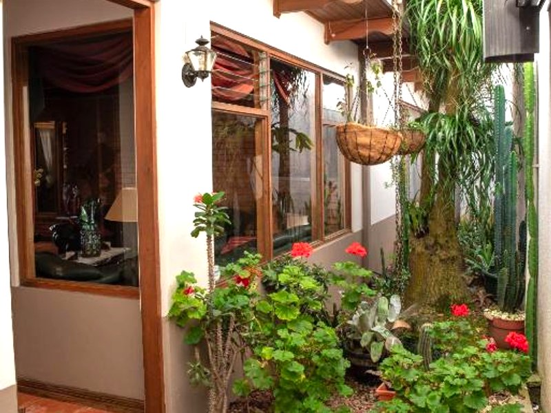 La Casa de Mamá Coyita (La Casa de Mama Coyita)の写真