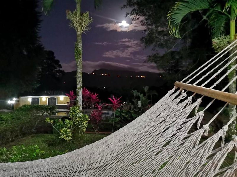 Hotel Villa Florenciaの写真