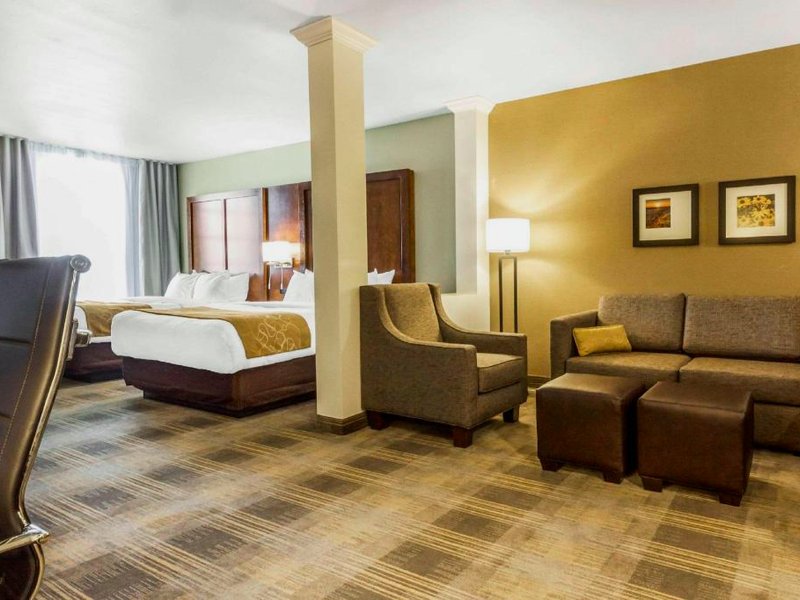 コンフォート スイーツ ユニバーシティ (Comfort Suites University)の写真
