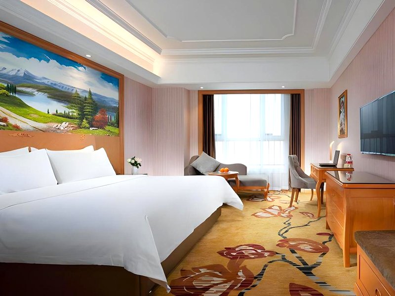 Vienna International Hotel Khorgos Portの写真