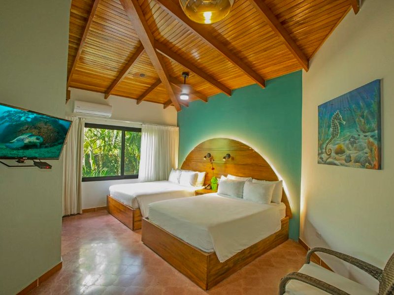 ホテル エル ヴェレロ (Hotel El Velero)の写真