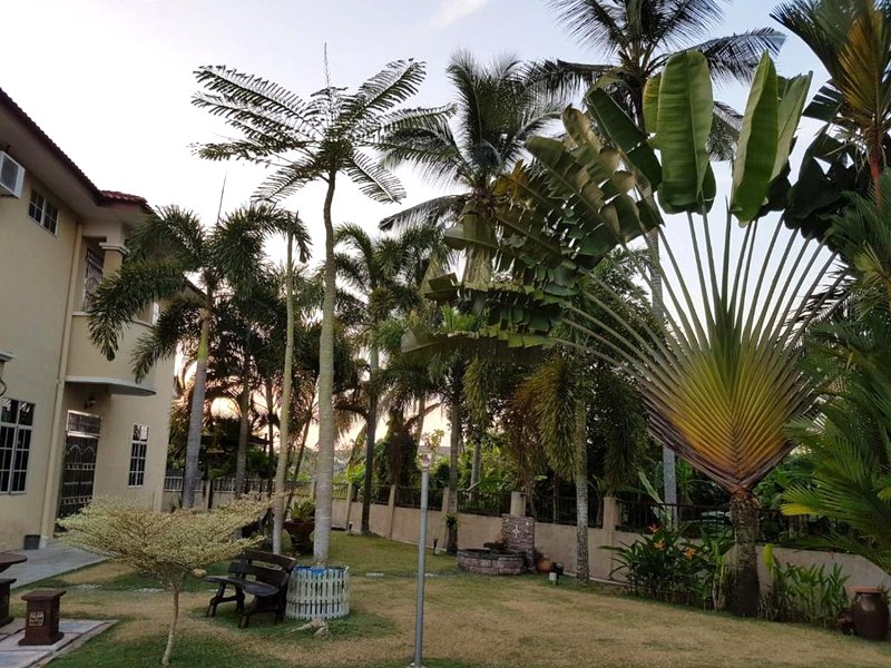 Big Garden Homestayの写真
