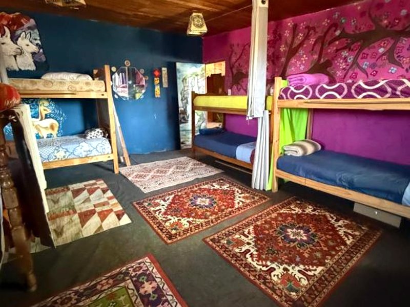 Casita del arbol Hostelの写真