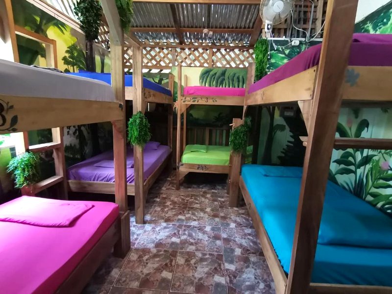 Oasis Beachfront Hostelの写真