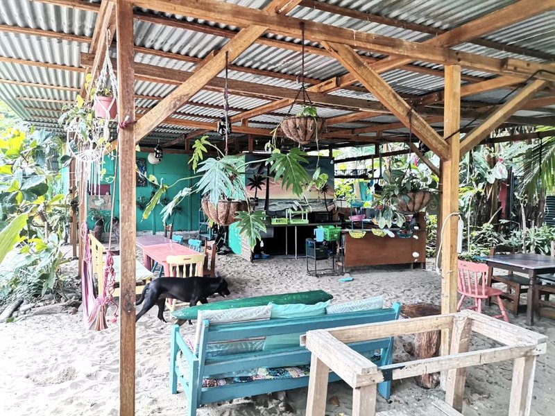 Oasis Beachfront Hostelの写真