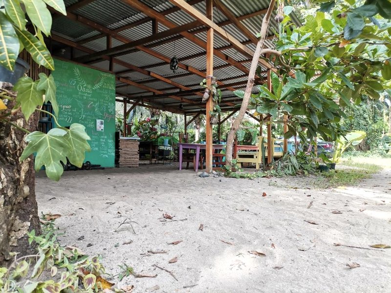 Oasis Beachfront Hostelの写真