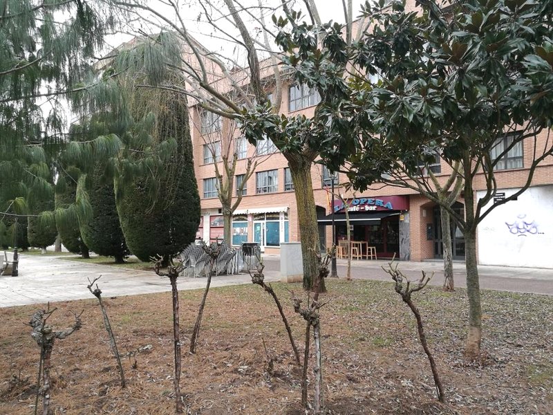 Pension Santiagoの写真