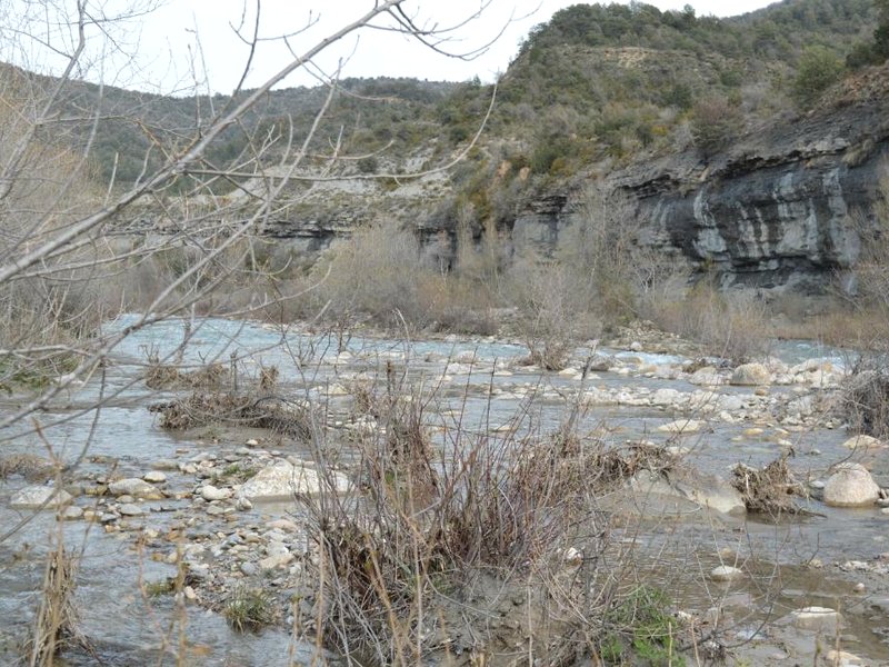 Casa "La Huerta" DE RODA DE ISABENAの写真