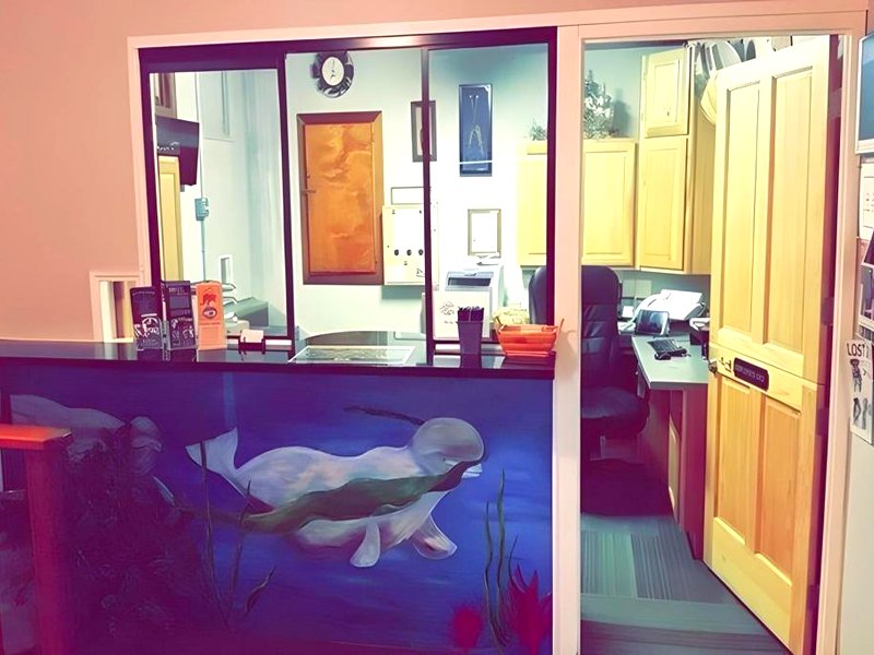 ベルーガ レイク ロッジ (Beluga Lake Lodge)の写真