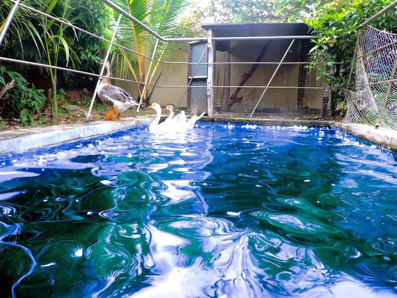 ホテル レ ロイ ディガ (Hotel Le Roi Digha)の写真