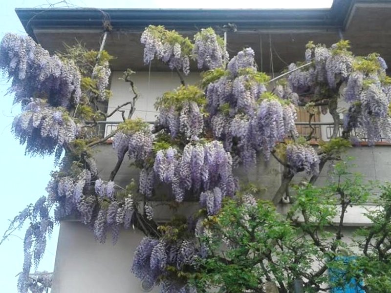 B&B Lo Spazio Magicoの写真