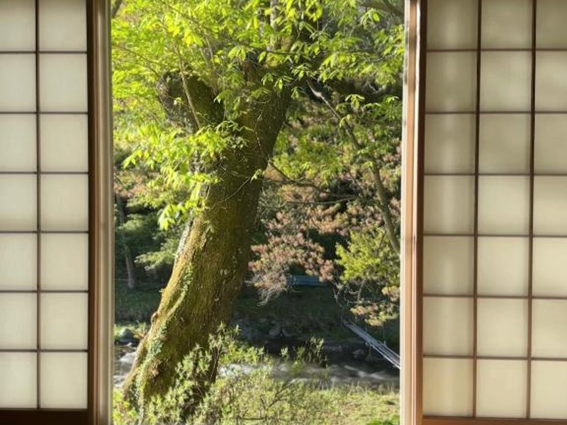 雪うさぎ (Yukiusagi)の写真