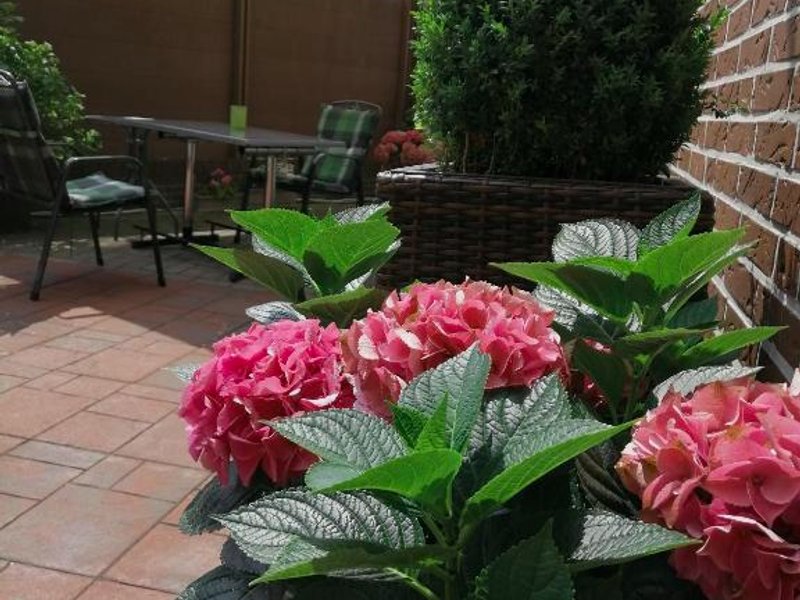 Kleines Hotel Westhusの写真