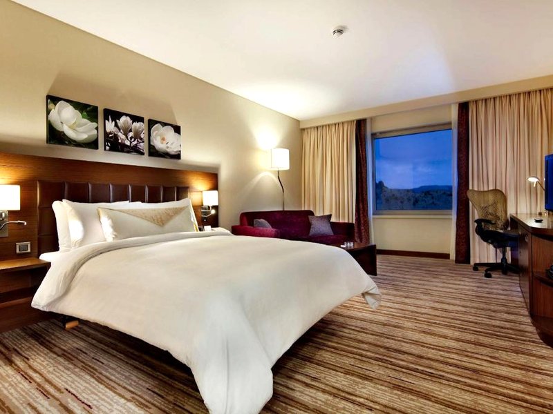 ヒルトン ガーデン イン マルディン (Hilton Garden Inn Mardin)の写真