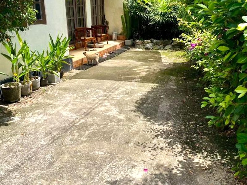 Noahs Ark Homestayの写真
