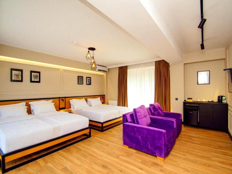 Borjomi Bridge Hotelの写真