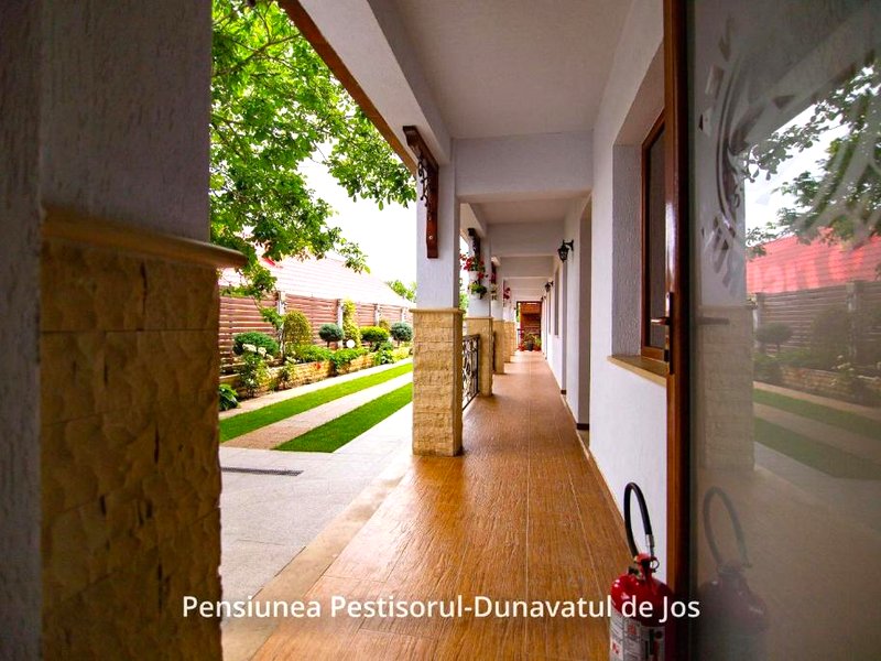 Pensiunea Pestisorulの写真