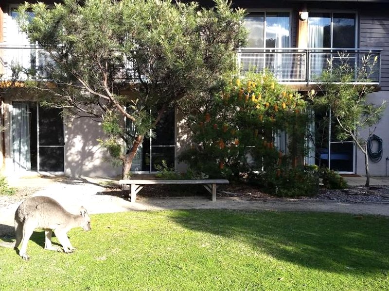 YHA Grampians Eco, Halls Gapの写真