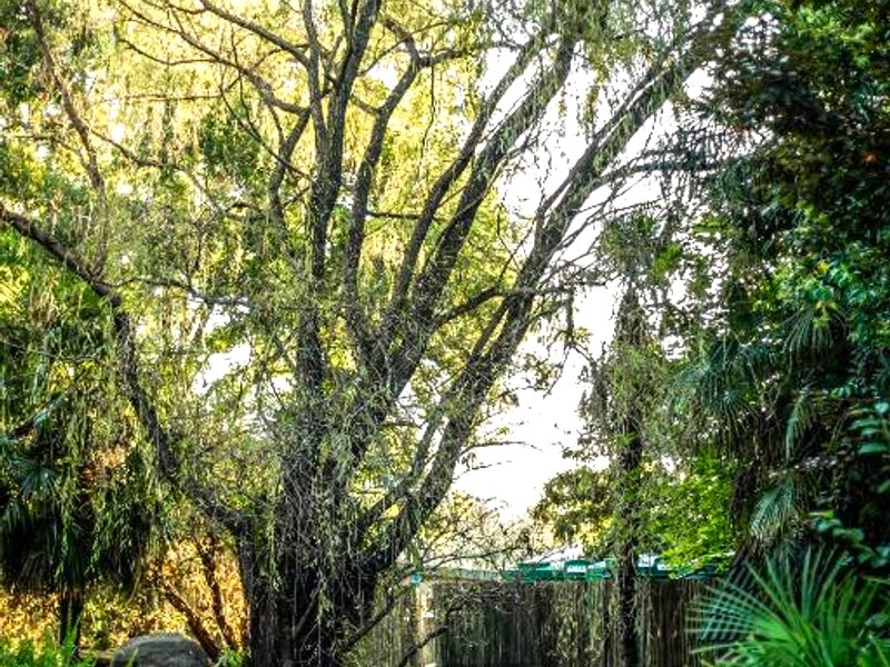 ウィンタートン カントリー ロッジ アット ローズ コテージ (Winterton Country Lodge at Rose Cottage)の写真