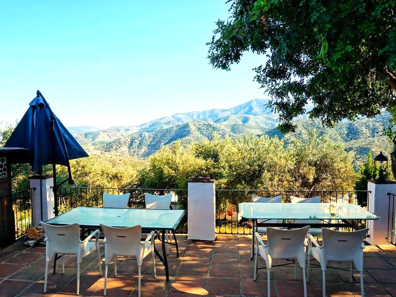 Olive Branch El Chorroの写真