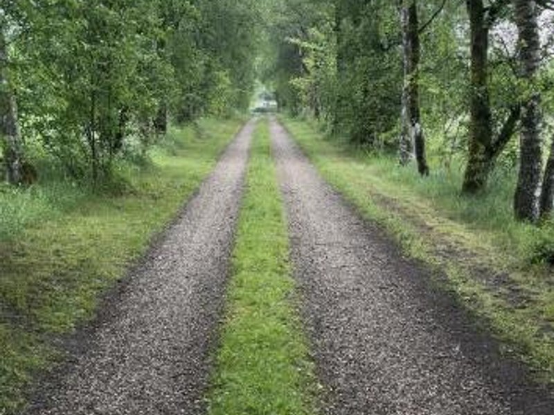 Glampingtelt telt i naturens hjerteの写真