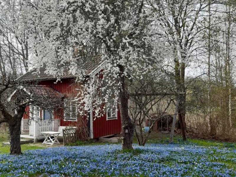 RÖDA STUGAN PÅ SLINKEN (RODA STUGAN PA SLINKEN)の写真