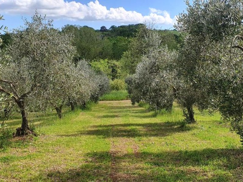 Agriturismo Al Podere dei Nonniの写真