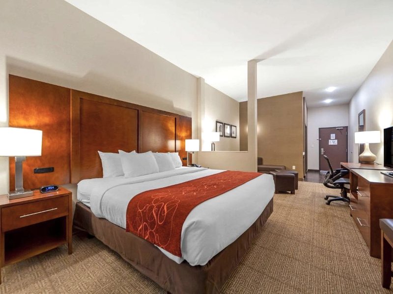コンフォート スイーツ ラ ヴィスタ オマハ (Comfort Suites La Vista - Omaha)の写真