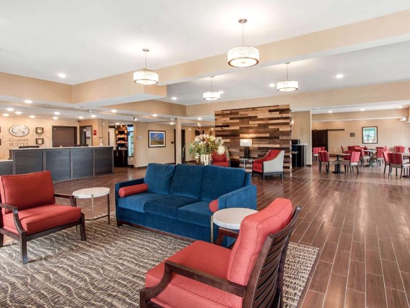 コンフォート スイーツ ラ ヴィスタ オマハ (Comfort Suites La Vista - Omaha)の写真