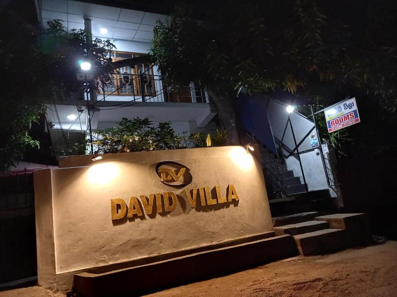 David Villaの写真