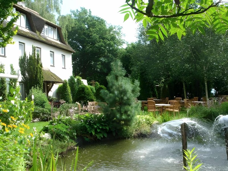 Witte Berken Natuurhotelの写真