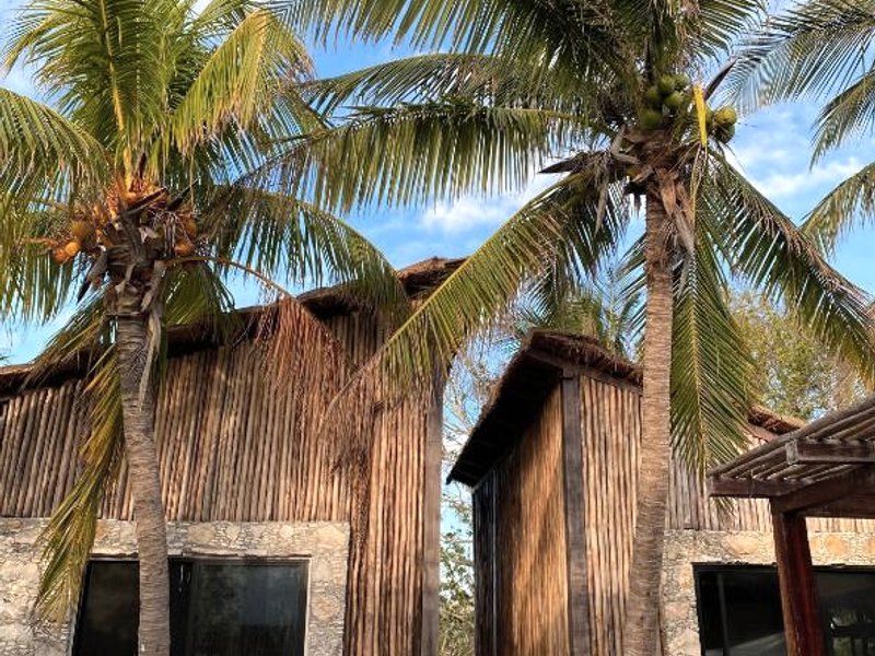 Piña Coloradas Ecolodge (Pina Coloradas Ecolodge)の写真