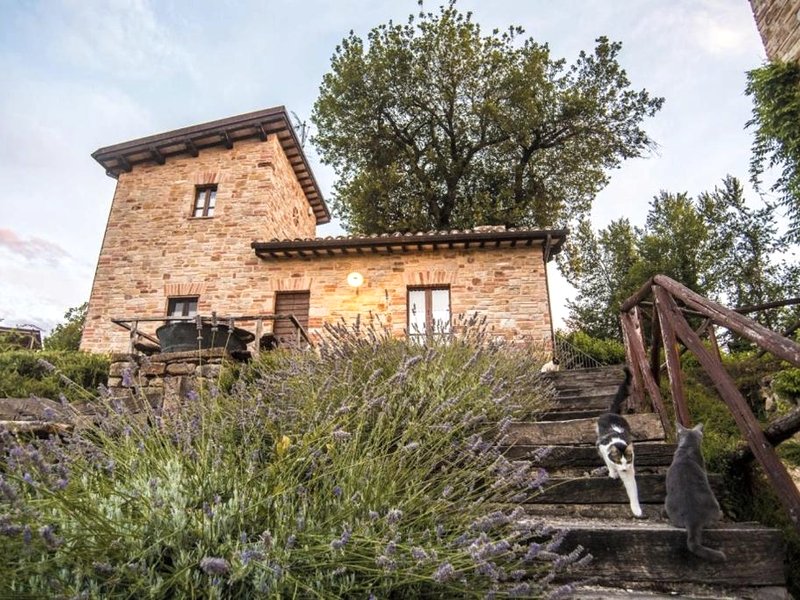 Agriturismo Ramusè (Agriturismo Ramuse)の写真