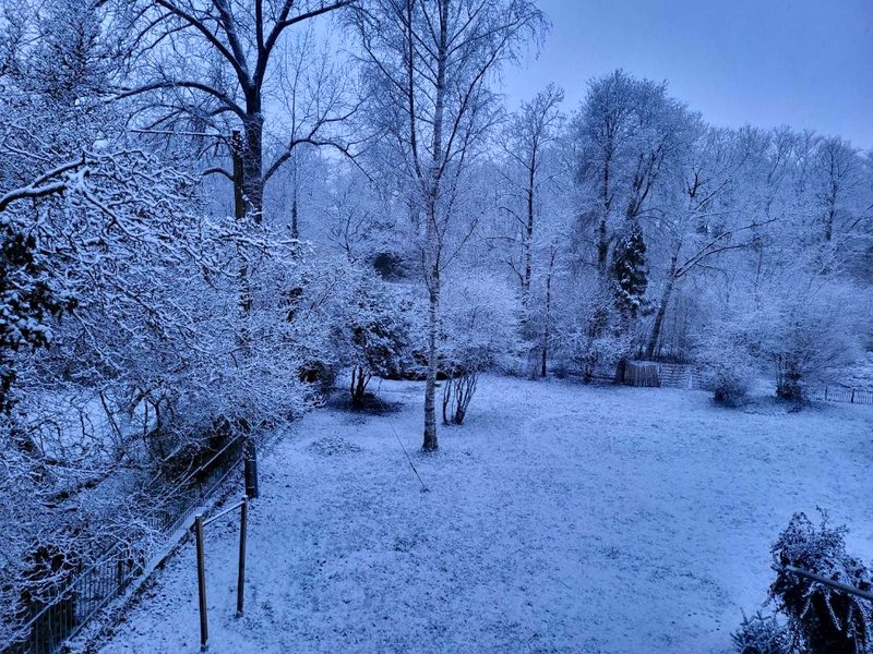 Bergischer Hof - Bergischer Hofgartenの写真