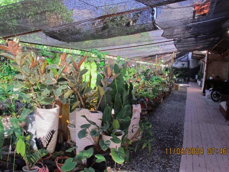 Leo Green Apartelleの写真